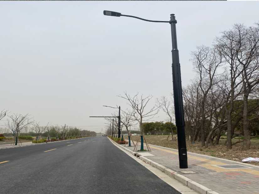 巴马瑶族自治县上海综合杆 太阳能路灯工程